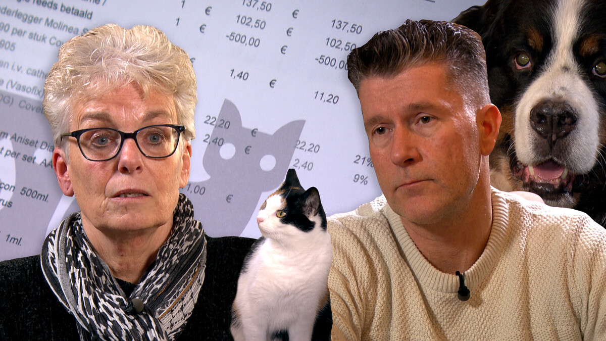 Uitzending: Buitensporige dierenartsrekeningen