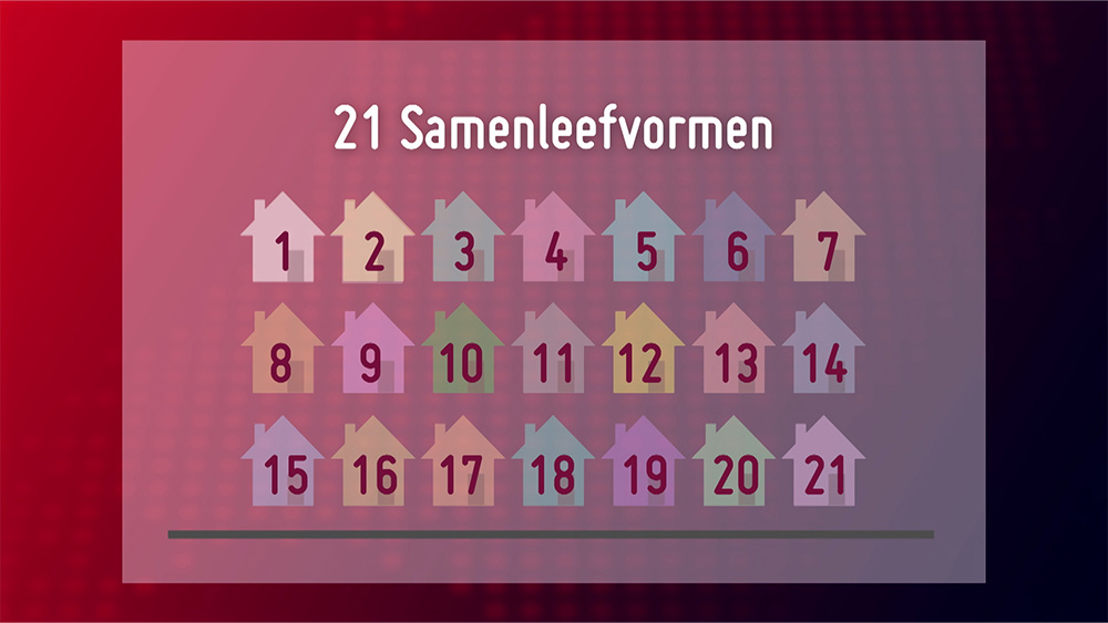 Er bestaan wel 21 verschillende leefvormen bij de berekening van de AOW. Er is dringend behoefte aan een vereenvoudiging op dit punt.