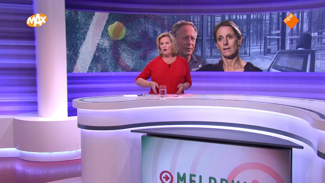 Uitzending: Populair padel zorgt over geluidsoverlast